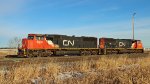 CN 5616